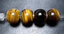 Load image into Gallery viewer, 10-3 Jumbo Round Yellow Tiger Eye Rod 1
