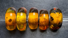 Load image into Gallery viewer, 6-9 Trollbeads Amber Rod 2
