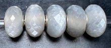 Load image into Gallery viewer, 10-20 Party 1 Grey Moonstone
