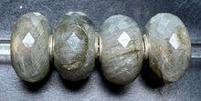 Load image into Gallery viewer, 10-20 Party 1 Labradorite
