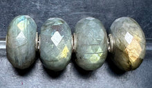 Load image into Gallery viewer, 10-20 Party 1 Labradorite
