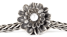 Load image into Gallery viewer, Chrysanthemum of November
