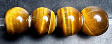 Load image into Gallery viewer, Jumbo Round Yellow Tiger Eye Rod 2 LIVE
