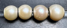 Load image into Gallery viewer, Rosa Pearl Rod 6

